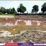 পঞ্চগড়ে অধ্যাপিকা রেহানা প্রধানের মৃত্যুবার্ষিকী পালিত