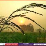 ইমাম,মাদ্রাসার সুপার ও শিক্ষকদের সাথে সংসদ সদস্যর মতবিনিময়