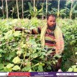 ইসলামপুরে তেল জাতীয় ফসলের উৎপাদন বৃদ্ধি” বিষয়ক কৃষক প্রশিক্ষণ অনুষ্ঠিত