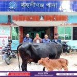 নড়াইলে শেষ কর্মদিবসে সহকর্মীদের ভালোবাসায় সিক্ত হলেন জেলা শিক্ষা অফিসের প্রধান সহকারী