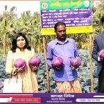 ঝিনাইয়া উচ্চ বিদ্যালয়ে এসএসসি পরীক্ষার্থীদের বিদায় অনুষ্ঠান