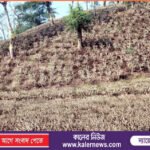 ভালুকায় অসহায় শীতার্ত মানুষের  মাঝে বিএনপি নেতা হাতেম খানের কম্বল বিতরণ