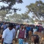 ঘুমধুমের ইট ভাটায় পরিবেশ অধিদপ্তর ও প্রশাসনের যৌথ অভিযানে ইট জব্দ, দুইটি স’মিলে ১৫ হাজার টাকা জরিমানা 