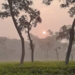 ভালুকায় শ্রেষ্ঠ খেলোয়াড় তুলনা’র পাশে ইউএনও