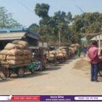 জামালপুরে সড়ক দুর্ঘটনায় দুইজন নিহত আহত -৪
