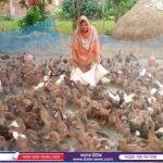 লোহাগড়ায় আন্তঃজেলা ডাকাত দলের সর্দার তুষার শেখ সহযোগীসহ গ্রেফতার