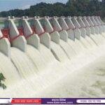 কালীগঞ্জে জিয়া পরিষদের নতুন দুটি কমিটি