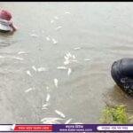 পলাশবাড়ী পৌর এলাকায় জমি জবর দখলের অভিযোগ