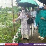 গৌরনদীতে দুই বাসের সংঘর্ষ, আহত-৬