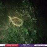 কিশোরগঞ্জ জেলা বিএনপির সভাপতি শরীফুল, সাধারণ সম্পাদক মাজহারুল নির্বাচিত