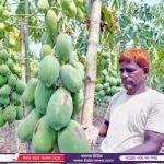 পাঁচবিবিতে টাইফয়েড টিকা ক্যাম্পের উদ্বোধন