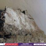 পাঁচবিবিতে পুজামন্ডব পরিদর্শন করেন অবসরপ্রাপ্ত সেনাসদস্যরা