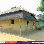 বিপন্ন প্রজাতির ভাল্লুক ছানা উদ্ধার