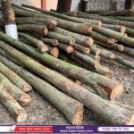 লোহাগড়ার শিশু শিক্ষা প্রতিষ্ঠান  বিদ্যাবিথী একাডেমির বার্ষিক ক্রীড়া ও পুরস্কার বিতরণী অনুষ্ঠিত